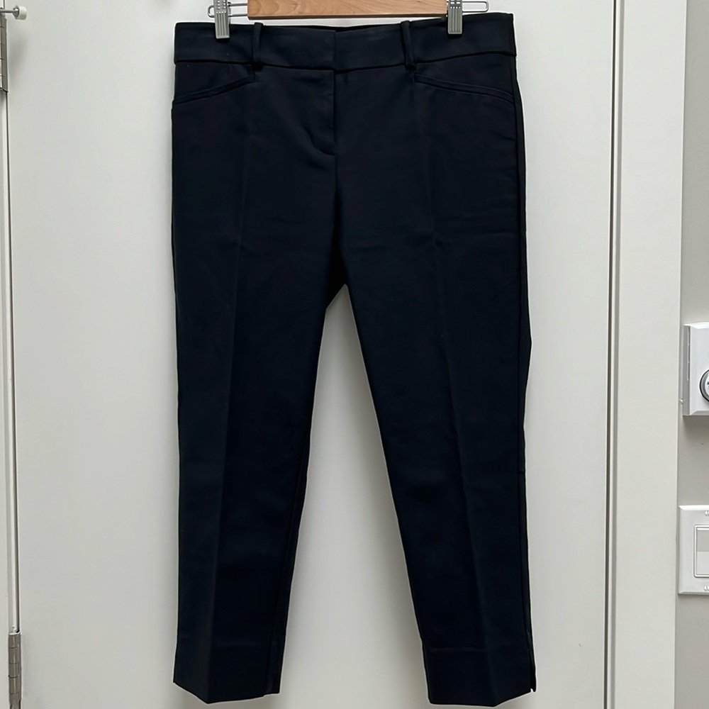 LOFT Rivera Pants (Marisa Sz 8P)